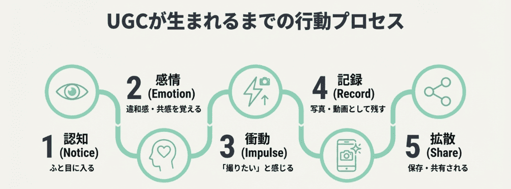 UGC行動プロセス